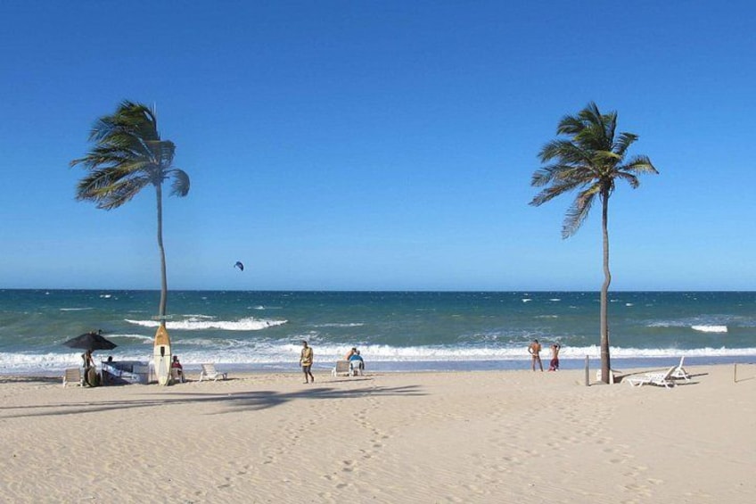 Una playa con palmeras, gente y una torre de salvavidas. 3