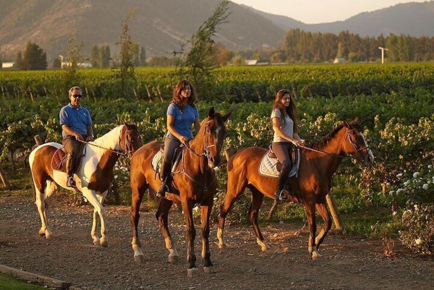 Horseback riding through the vineyards