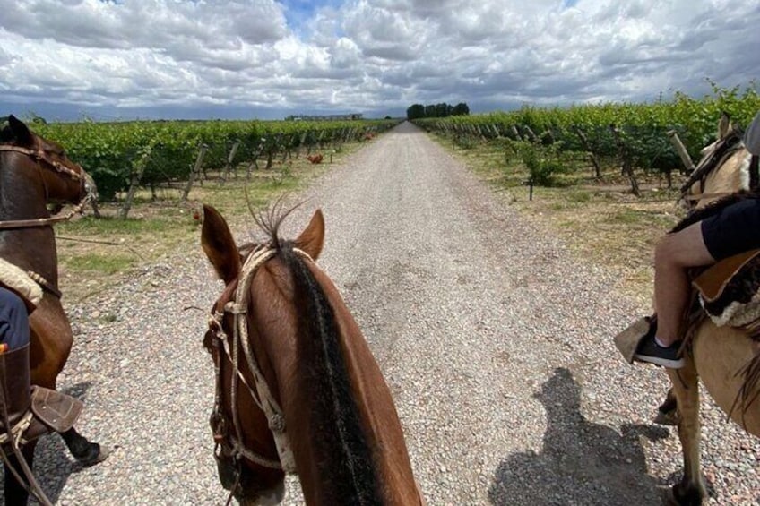 tour of the winery