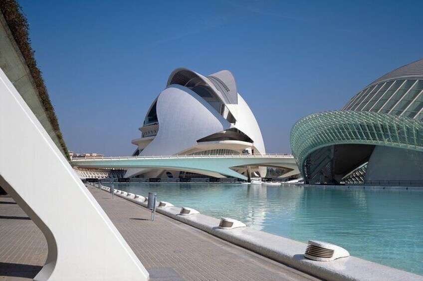 Valencia City of Arts and Sciences Tour