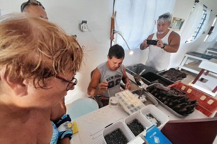 People working with coffee beans, some sorting and some using a coffee grinder. 5
