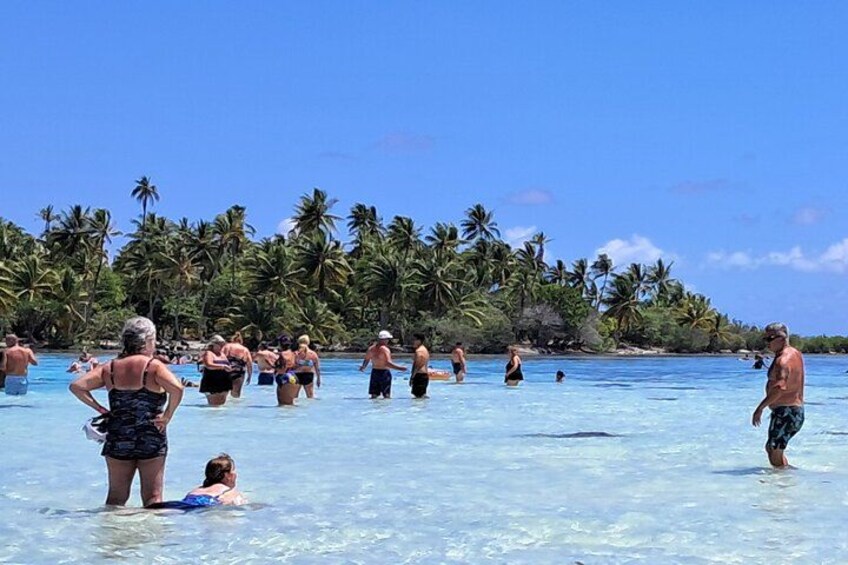 A beach with people swimming and standing in the water, palm trees in the background, and clear blue water. 2