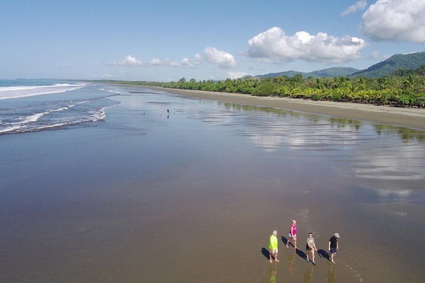 A beach with people walking, calm water, and a distant mountain range. 1