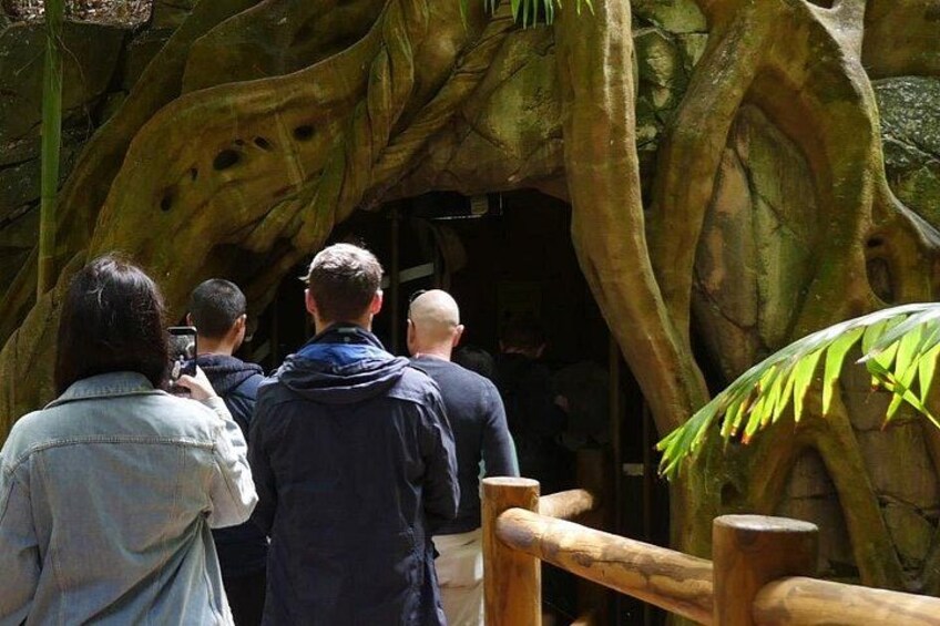 Un groupe de personnes se tient devant un grand arbre, avec une clôture en bois. 2