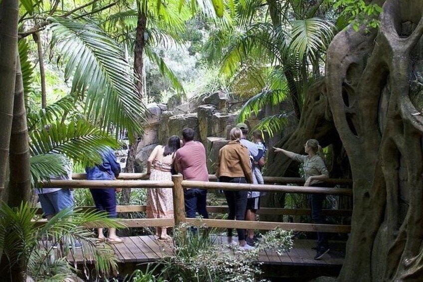 Brisbane: Daytime Scenic Rim Glow Worm Tour + Hop on Hop off Bus 5