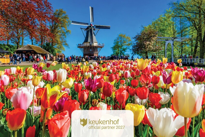 A tulip field, a windmill, and a pavilion with people in the background. 2
