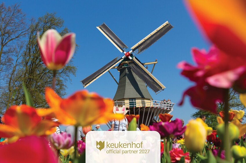 Amsterdam: Keukenhof and Zaanse Schans, Marken, Volendam Full Day Tour 2