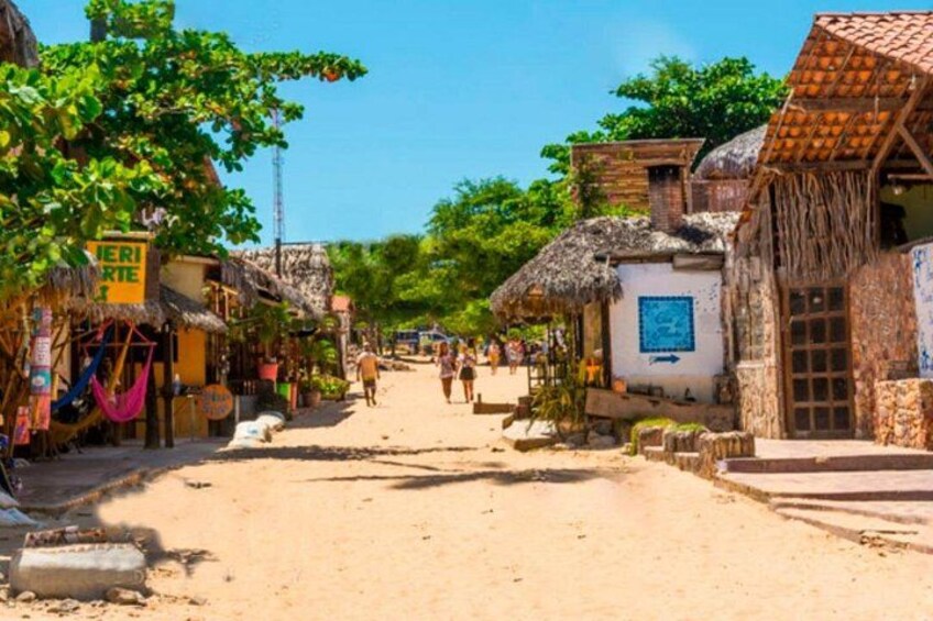 Full Day Premium Tour in Jericoacoara 3