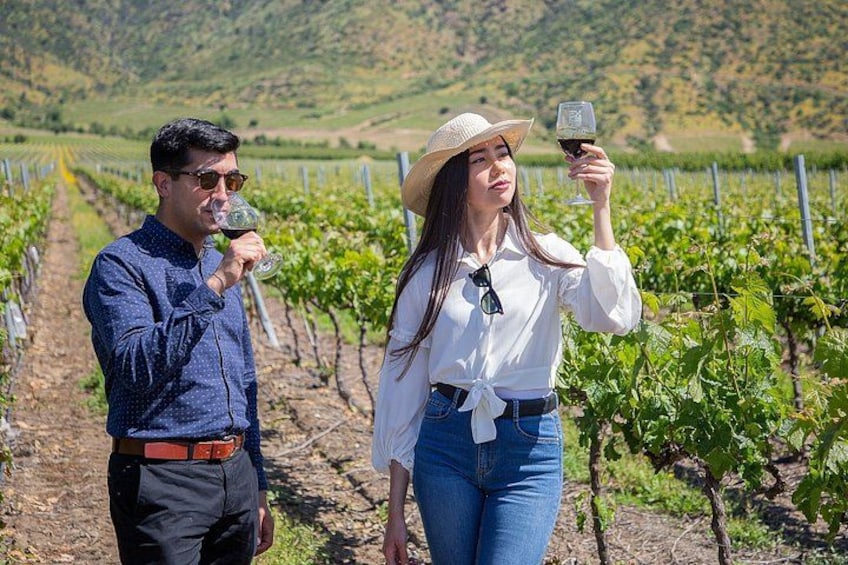 Moment Tour Tasting Icon 1