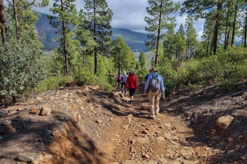 Hiking experience in the north of Gran Canaria 1