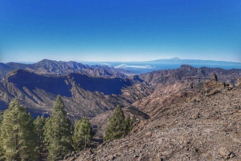 Hiking experience in the north of Gran Canaria 3