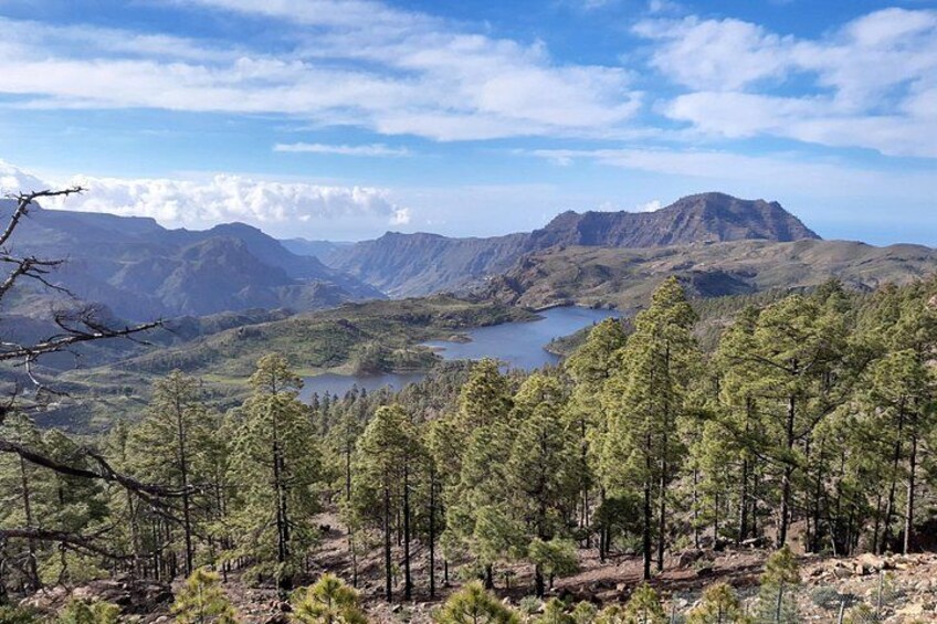 Hiking experience in central/north Gran Canaria 2