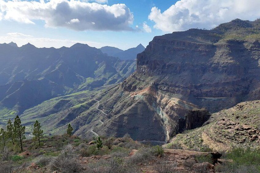 Hiking experience in central/north Gran Canaria 4