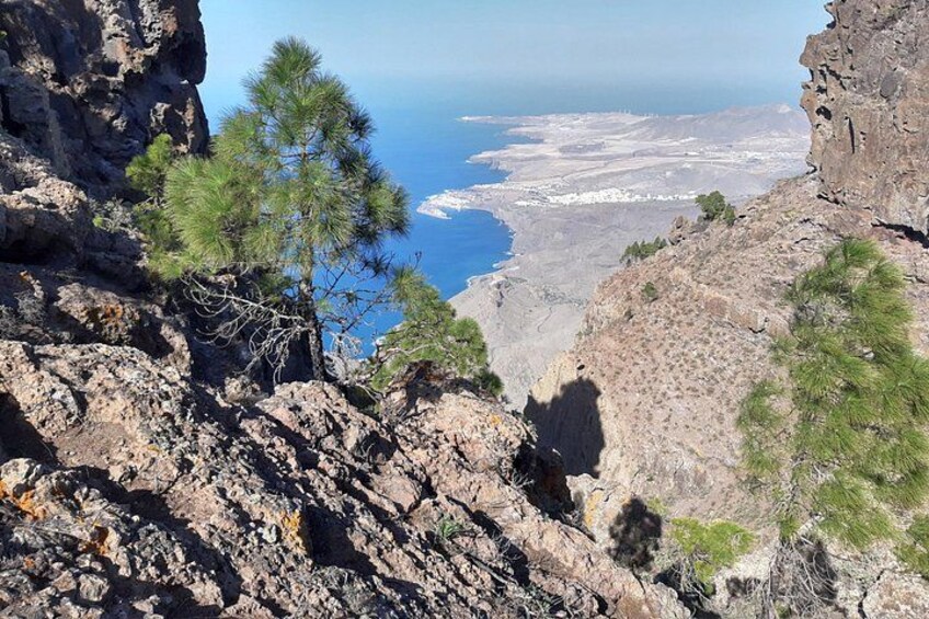 Hiking experience in central/north Gran Canaria 3