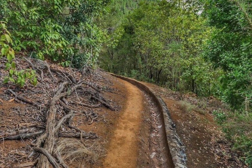 Hiking experience in the north of Gran Canaria 4