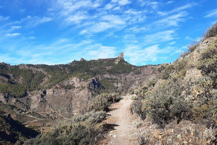 Hiking experience in central/north Gran Canaria 5