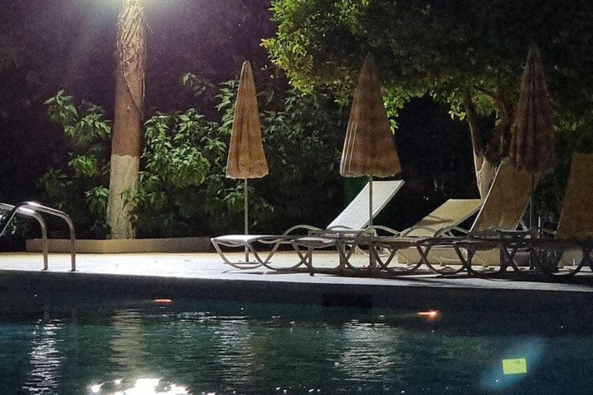 Une piscine entourée d’arbres, avec des chaises longues et des parasols. 2