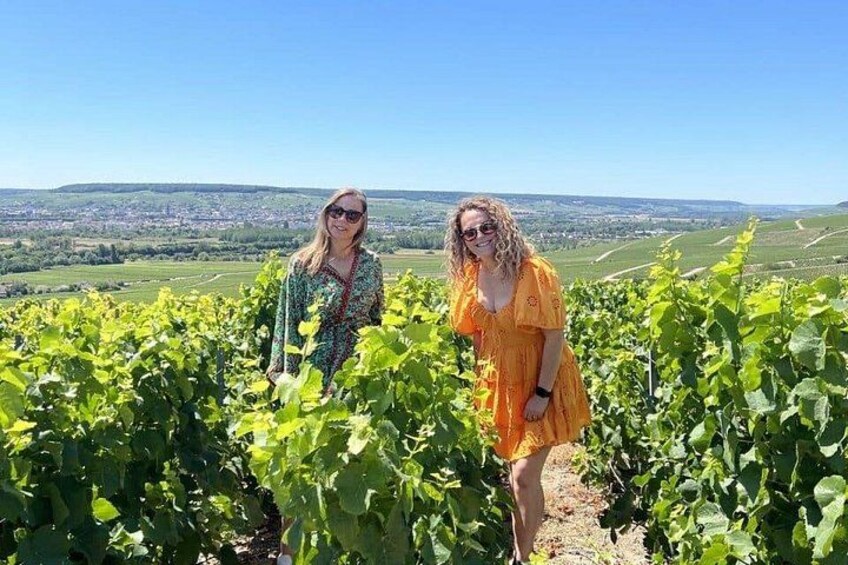 Gold Champagne Experience from Epernay (Private Full day tour) 2