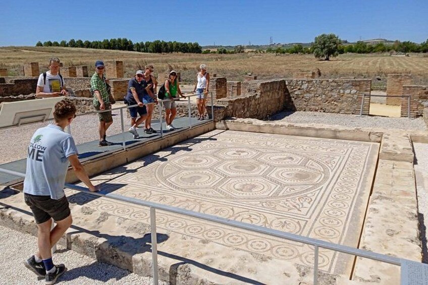 5 hour Electric Bike Tour to the Ruins of Italica 1