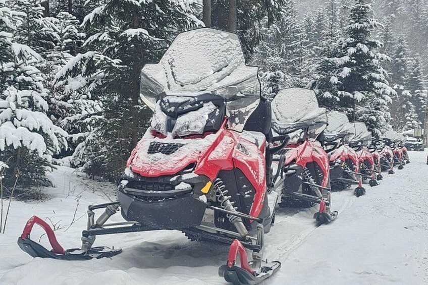 Bucharest: Snowmobile or ATV Quad Bike Tour Carpathian Mountains 3