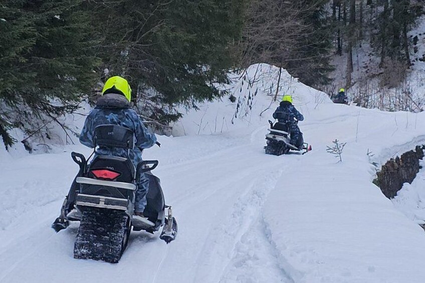 Bucharest: Snowmobile or ATV Quad Bike Tour Carpathian Mountains 3