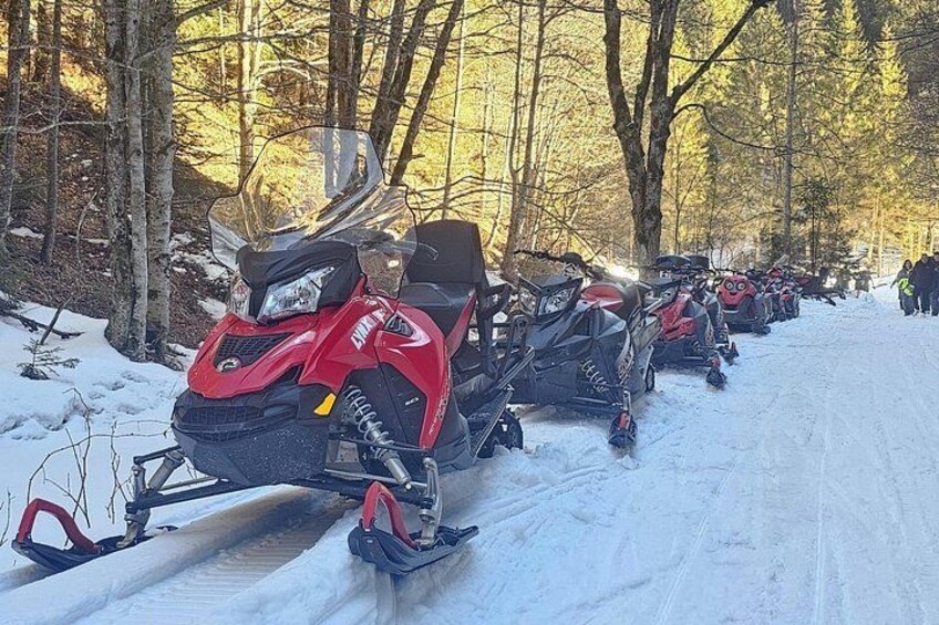 Bucharest: Snowmobile or ATV Quad Bike Tour Carpathian Mountains 5
