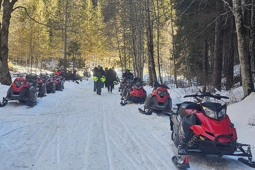 Bucharest: Snowmobile or ATV Quad Bike Tour Carpathian Mountains 4