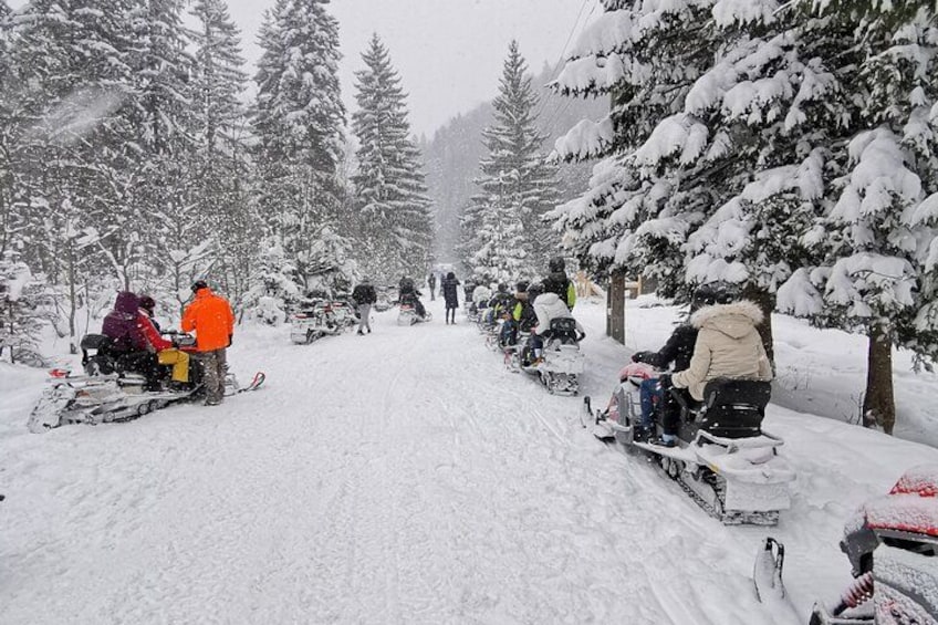 A snowy forest with people on snowmobiles and skis. 1