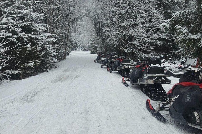 Bucharest: Snowmobile or ATV Quad Bike Tour Carpathian Mountains 4