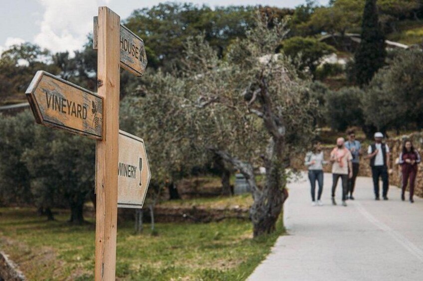 A wooden signpost with directions to 'House', 'Vineyard', and 'Winery'. 5
