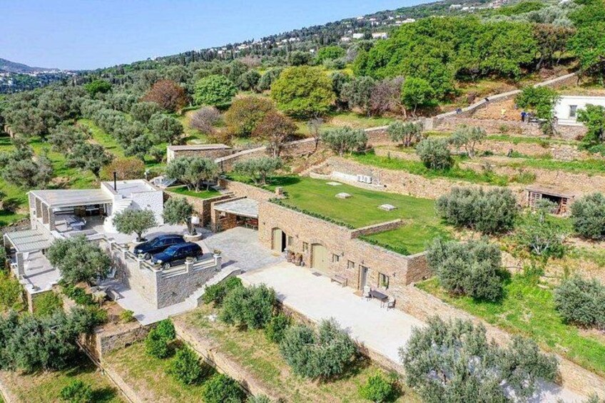A rural landscape with a modern house, a swimming pool, and surrounding olive groves. 4