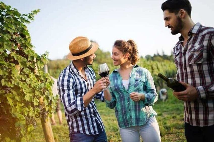 Seafarers' Village & Vineyard Visit, Wine Tasting - Half Day Tour 1