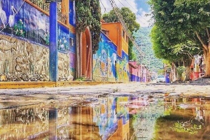 Private Tour Tonala Chapala Vicente Fernandez and Ajijic 2