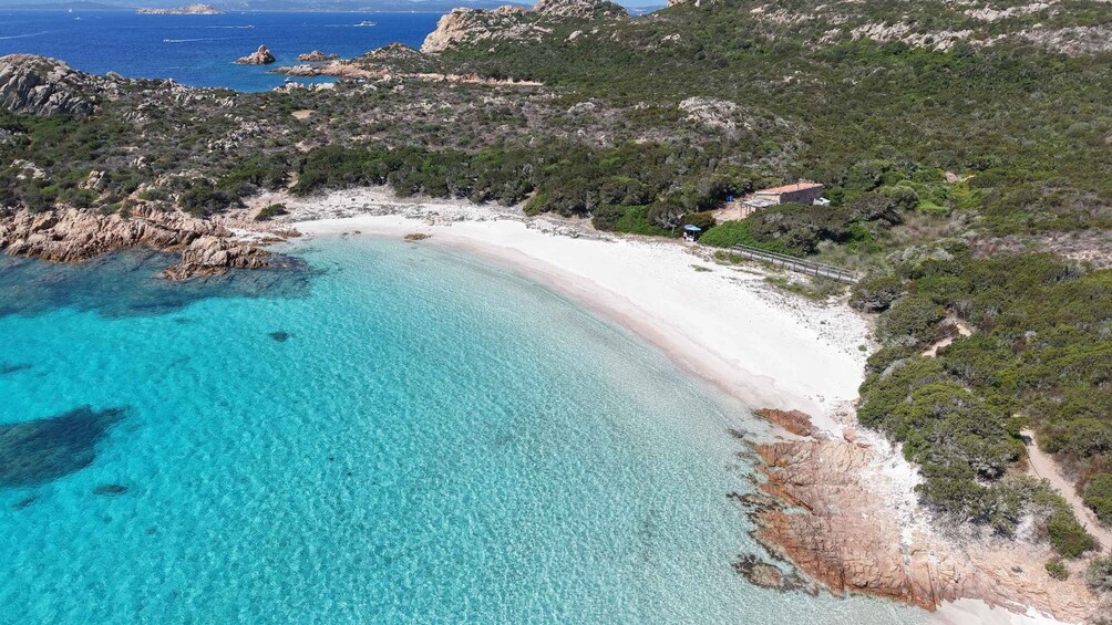 Picture 2 for Activity Palau: La Maddalena Archipelago Boat Tour with 4 Stops 3