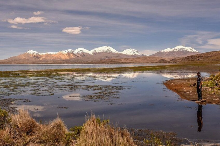 Chungara Lake 1