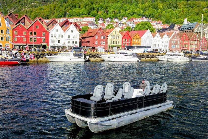 Private Cruise: Mostraumen by Zodiac or Lux Pontoon Boat 1