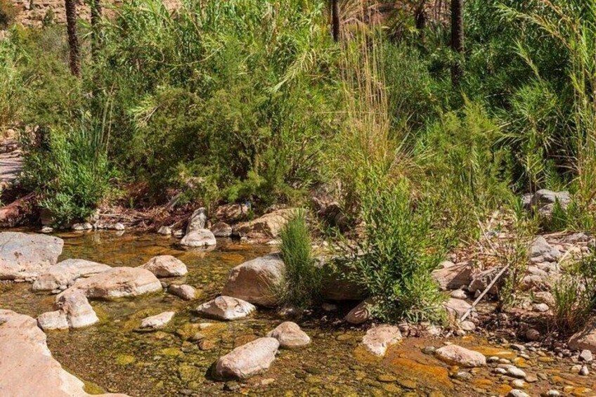 A clear stream with rocks and green vegetation. 5