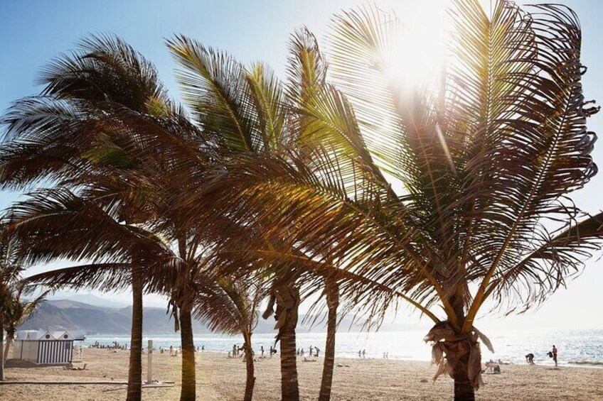 Gran Canaria Easy North Half Day Tour