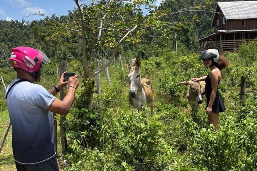 ATV Jungle Safari Tour from Montego Bay 3