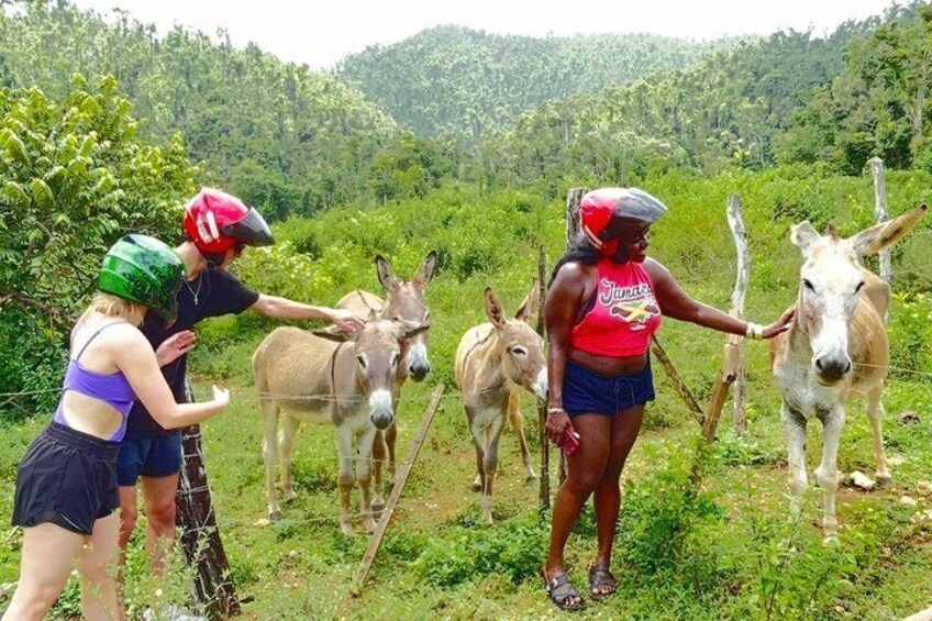 ATV Jungle Safari Tour from Montego Bay 5