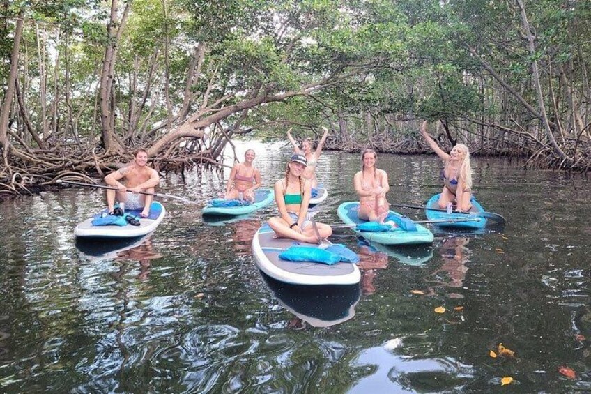 Mangrove Jungle Exploration on SUP/Kayak 1