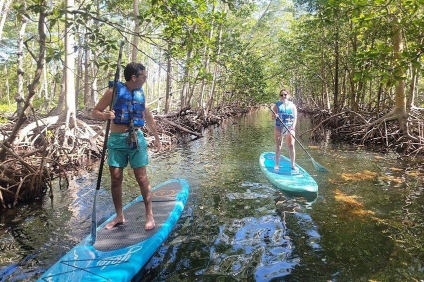 stand up paddle boarding 2