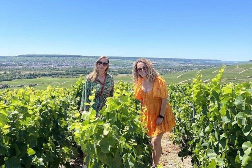 Deux personnes se tiennent debout dans un vignoble, avec une vue sur une ville lointaine. 3