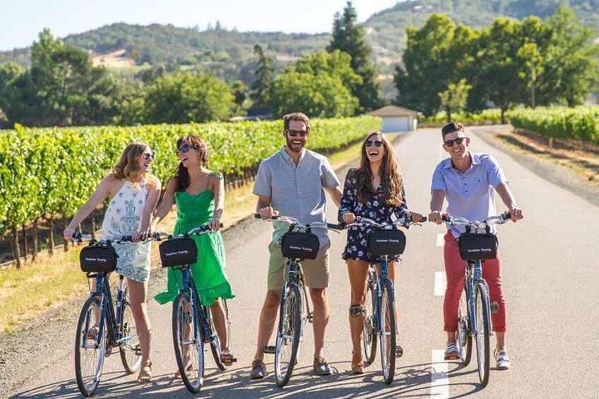 A group of people riding bicycles on a road with vineyards on both sides. 1