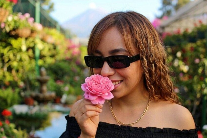 Una persona sosteniendo una flor rosa en un jardín con diversas plantas y una fuente. 2