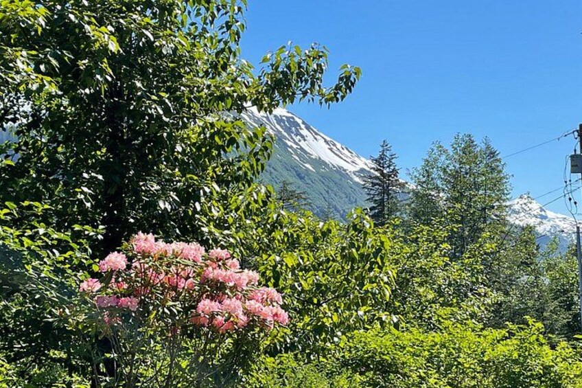Mt Juneau 3
