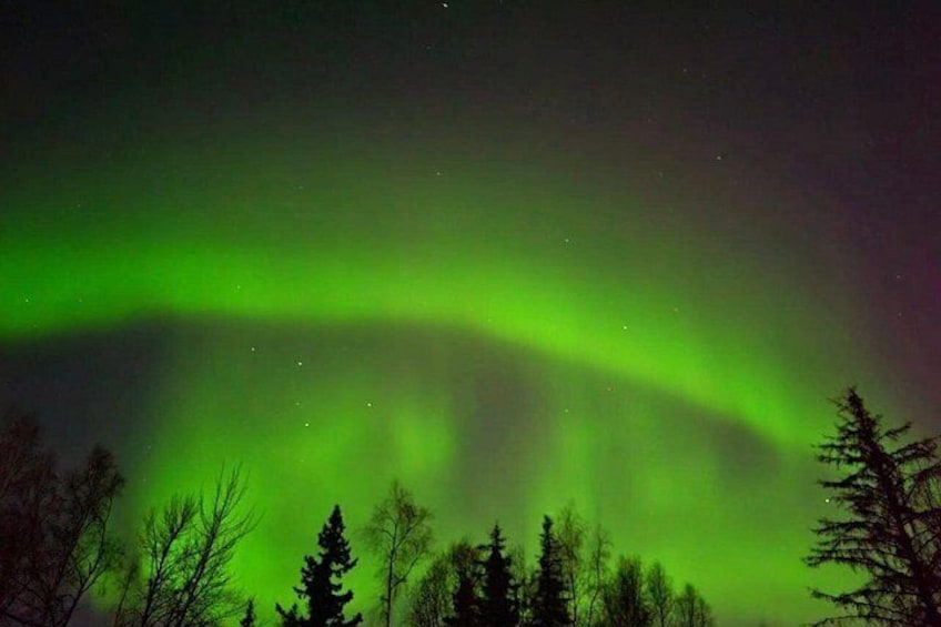 Northern Lights 4