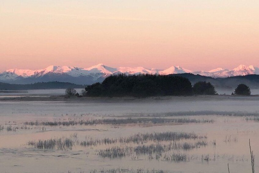 View across Mendenhall Wetlands 3