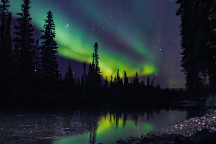 Northern light (Winter Only) 3