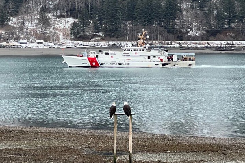 Un'imbarcazione bianca con dettagli rossi, con la scritta 'U.S. Coast Guard', su un corpo d'acqua, due uccelli su un palo e un paesaggio innevato sullo sfondo. 2